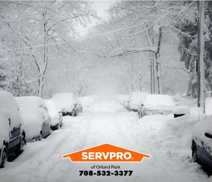 Snow from a blizzard blankets cars parked on a street.