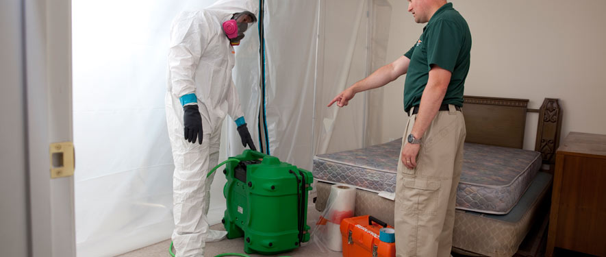 Orland Park, IL mold removal process